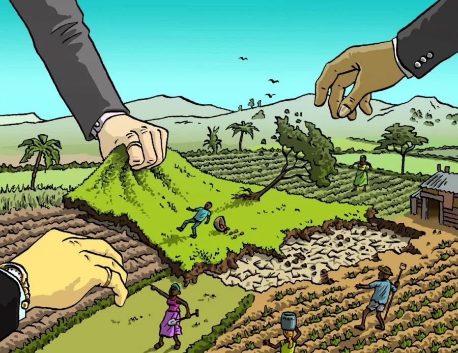 Xác định quyền sử dụng đất và sự không ngay tình của người thứ ba khi nhận chuyển nhượng quyền sử dụng đất đang có tranh chấp